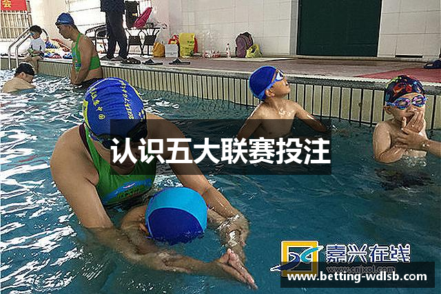 认识五大联赛投注